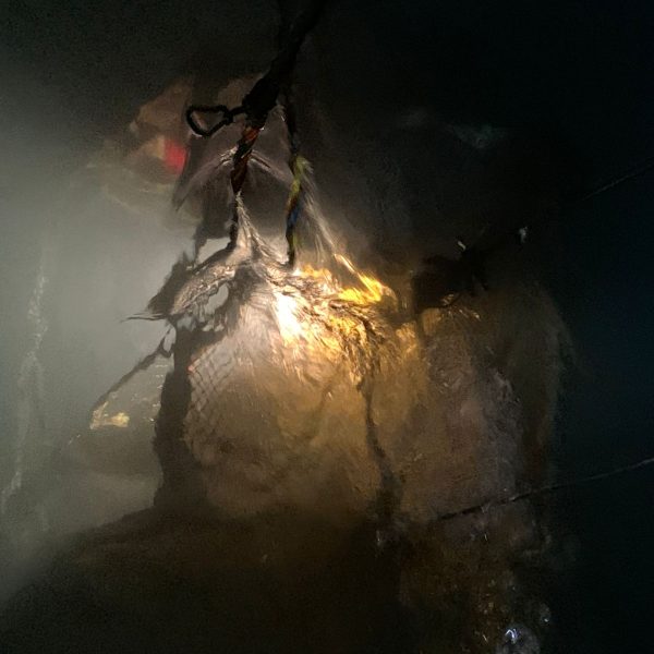 WhatsApp Image 2025-08-08 at 1.21.38 PM (1) Pipeline clamp installation at 67 meters depth – Kalout Marine Engineering